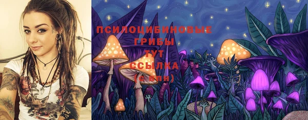 стафф Верхнеуральск