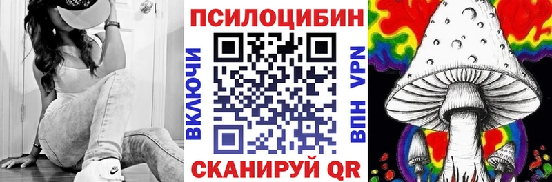 где купить наркотик  Павловский Посад  Псилоцибиновые грибы мицелий 